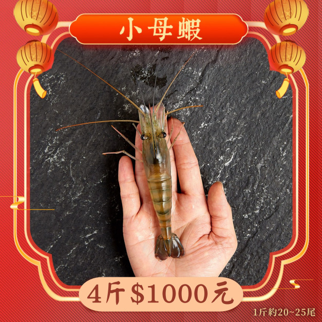 【限量】小母蝦 4斤1000元 1斤約20~25隻