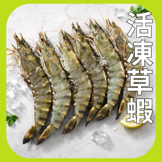 6P活凍草蝦