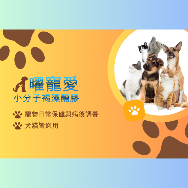 曜寵愛小分子褐藻醣膠膠囊(測試用，請勿下單)