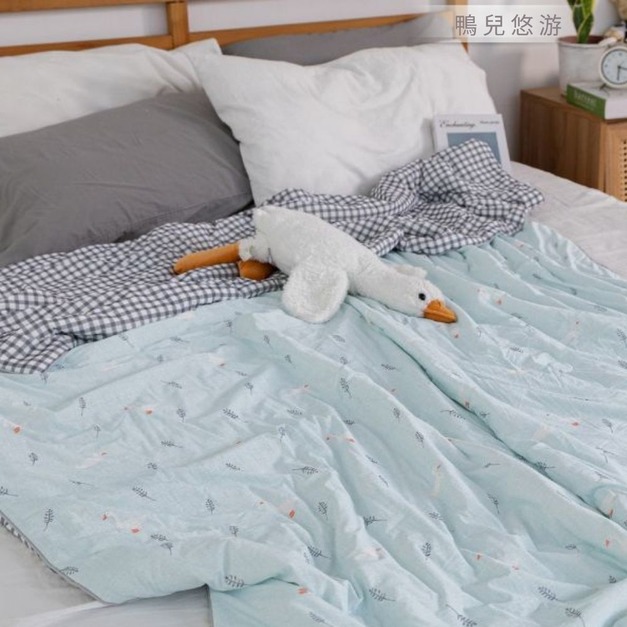 鴨兒悠遊 +$2,380