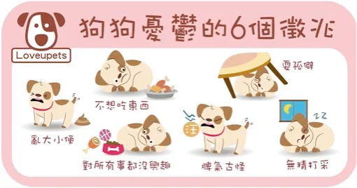 毛小孩也會心情不好！？