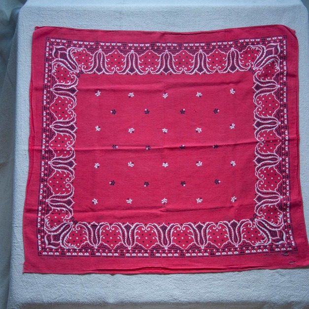 50年代 古著 WPL 9939 虎頭 Bandana / TR01