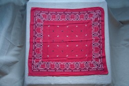 50年代 古著 WPL 9939 虎頭 Bandana / TR01