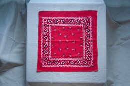 60年代 古著 RN14193 Wam Craft Bandana / 60R19