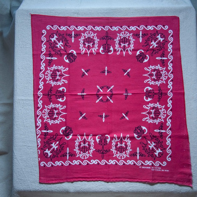 60年代 古著 RN15187 Hav-A-Hank 稀有配色 Bandana / 60R24