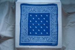 70年代 古著 RN13960 Paris Bandana / 70B08