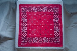 70年代 古著 RN13960 Paris Bandana / 70R12