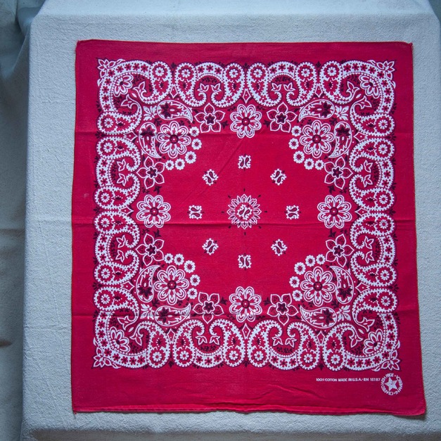80年代 古著 RN15187 Hav-A-Hank Bandana / 80R04