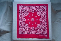 80年代 古著 RN15187 Hav-A-Hank Bandana / 80R04