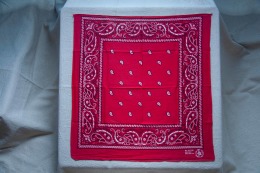 80年代 古著 RN13960 Paris Bandana / 80R08