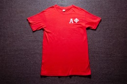 70年代 美國製 Hanes 出品 三角 橘標 Alpha Phi 古著T恤 TA05