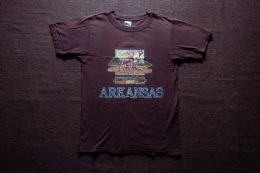 2000年代 美國品牌 Gildan 出品 阿肯色州 觀光紀念品 古著T恤 TA46