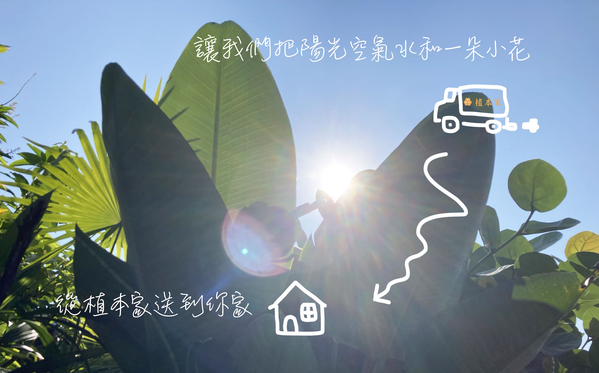 讓植物從植本家到你家