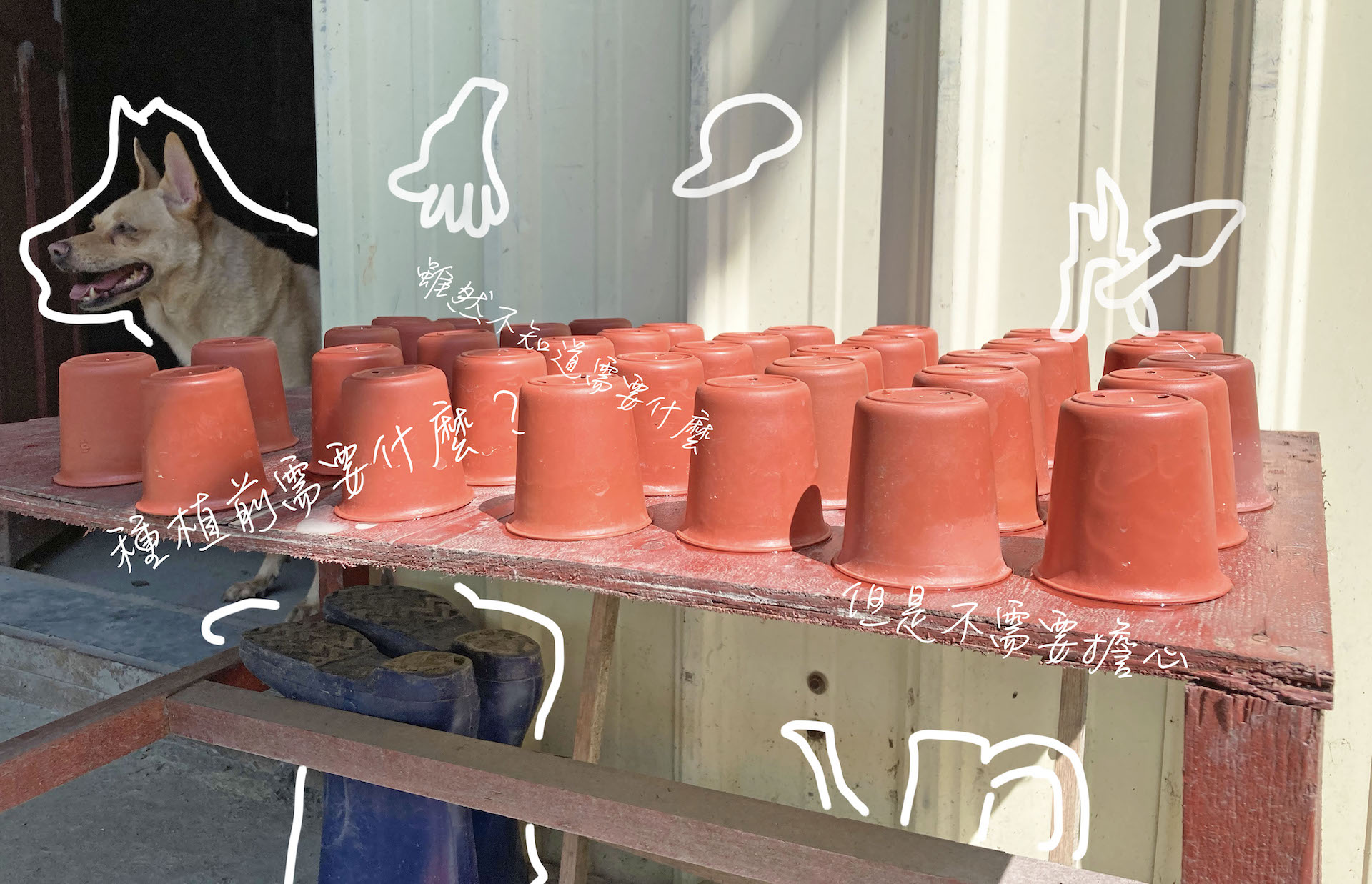 開始種植前需要什麼