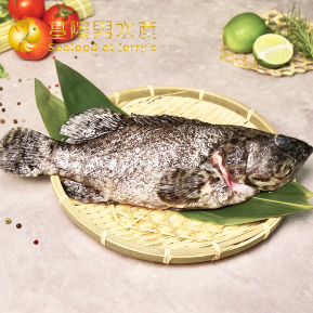 龍虎斑全魚 (三去) 