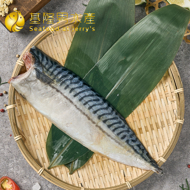 挪威鯖魚片 (大)