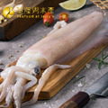 活凍軟絲 (多種規格可選)_3