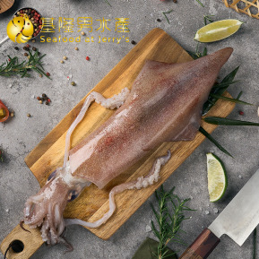 活凍透抽 (多種規格可選)