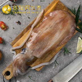 活凍軟絲 (多種規格可選)