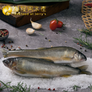 台灣母香魚 (2隻入)