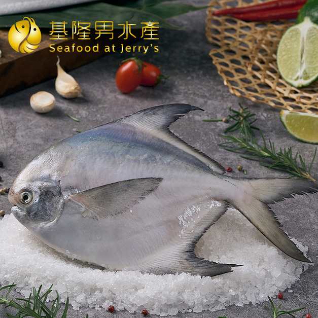 野生白鯧