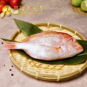 台灣本港手釣赤鯮 (多種規格可選)