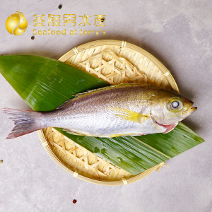 澎湖黃雞魚 (三去)