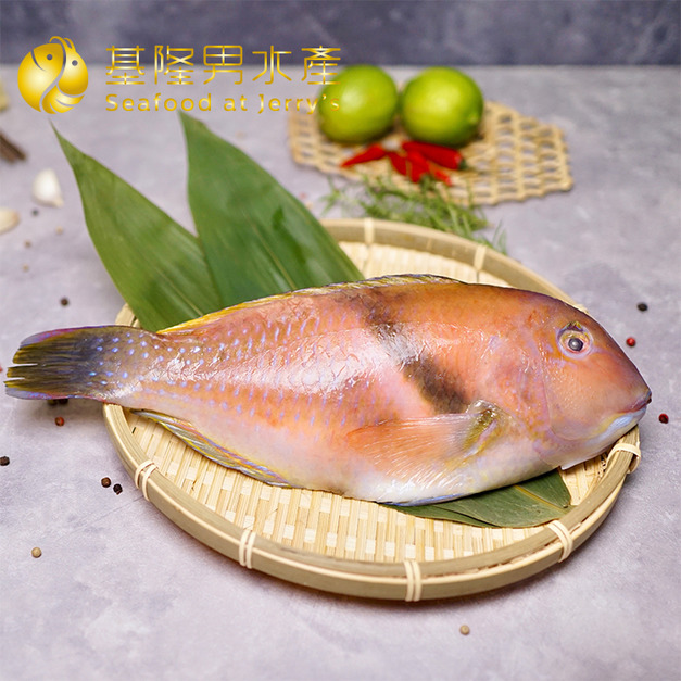 澎湖野生寒鯛/紅石佬