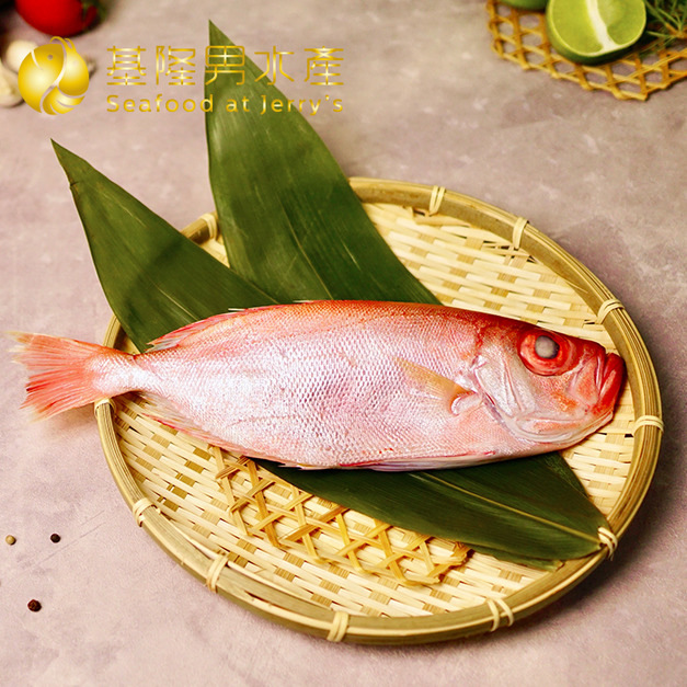 台灣紅目鰱 (2隻入)