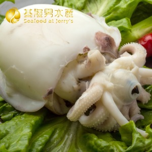 活凍花枝清肉 (已去皮去內臟) (2種規格可選)
