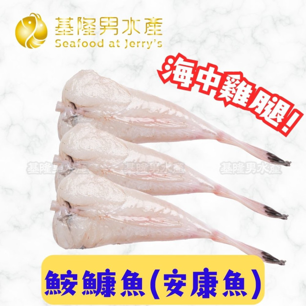 台灣鮟鱇魚(安康魚) / 燈籠魚