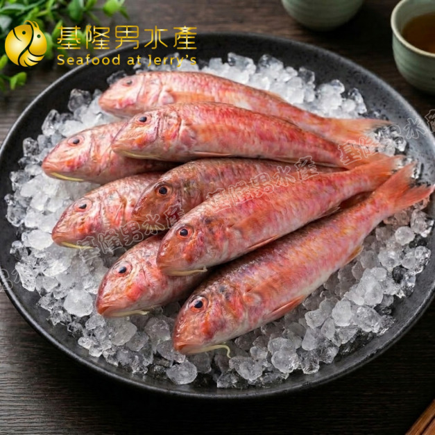 野生小紅秋姑 / 秋哥魚