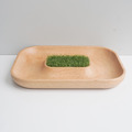 TOSMU童心木 小物收納盤-沙漠綠洲