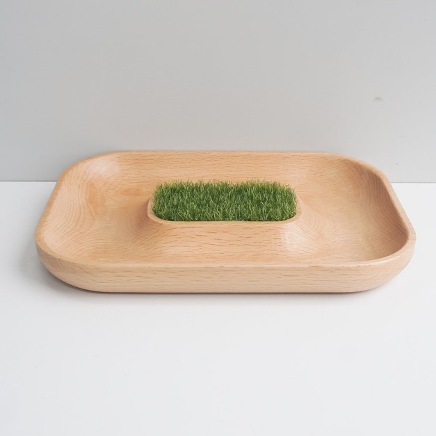 TOSMU童心木 小物收納盤-沙漠綠洲