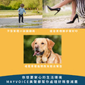 樓地板隔音減震工程施工方案 德國MAYVOICE_3