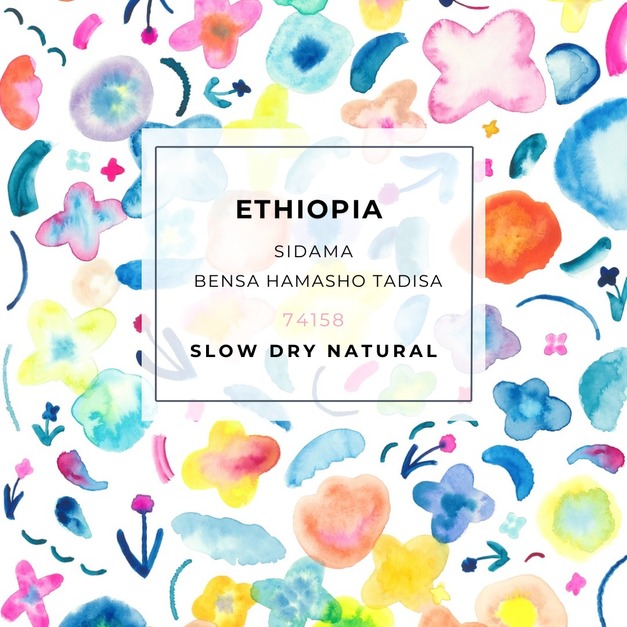 淺烘焙｜衣索比亞 西達馬 班莎鎮 翰馬修村 橘光舞妓 日曬 慢乾 G1