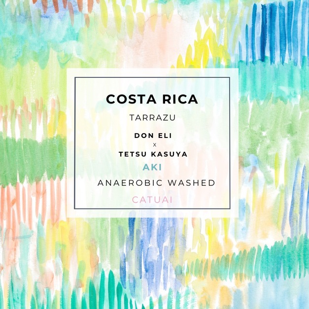 淺烘焙｜哥斯大黎加 塔拉蘇 Don Eli莊園 卡杜艾 友達 厭氧水洗