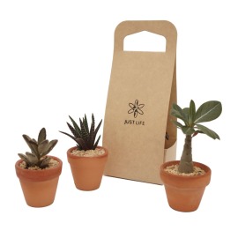 婚禮小物-陶盆組