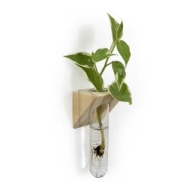實木壁掛水耕瓶