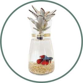 魚植共生水耕花器