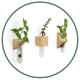 實木壁掛水耕花器