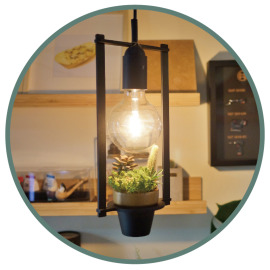 植光計畫-吊燈組