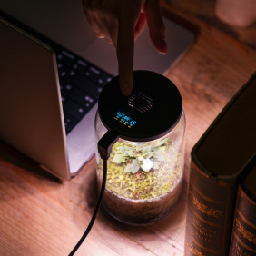 【vasee air&light⁺ 】智能風扇燈 植物專用 專為微景觀設計