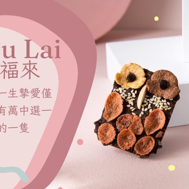 貓頭鷹福來2隻 +$150