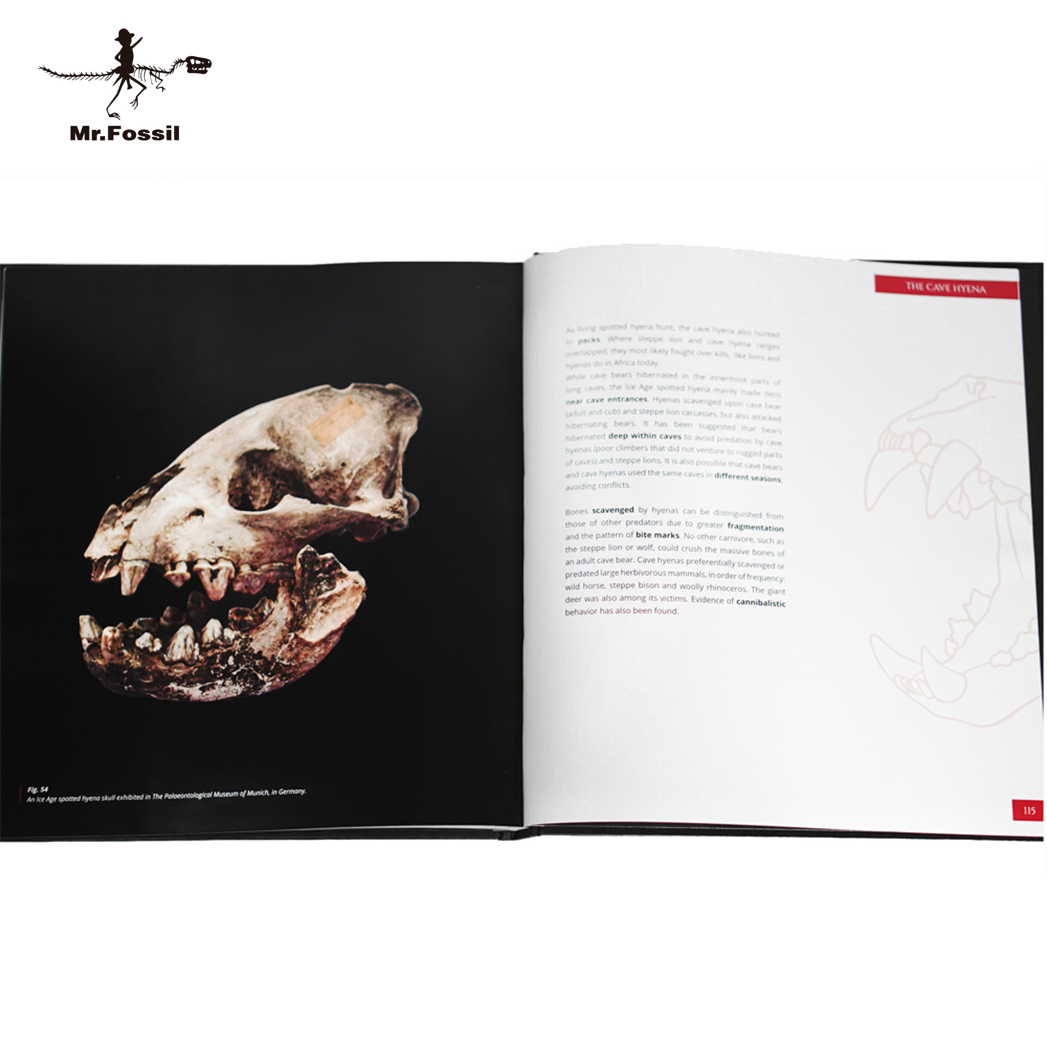 STEFANO PICCINI 訂製收藏版書（全彩、全英文)_6e21384f632b69d8ef2801c482eade0e.jpg