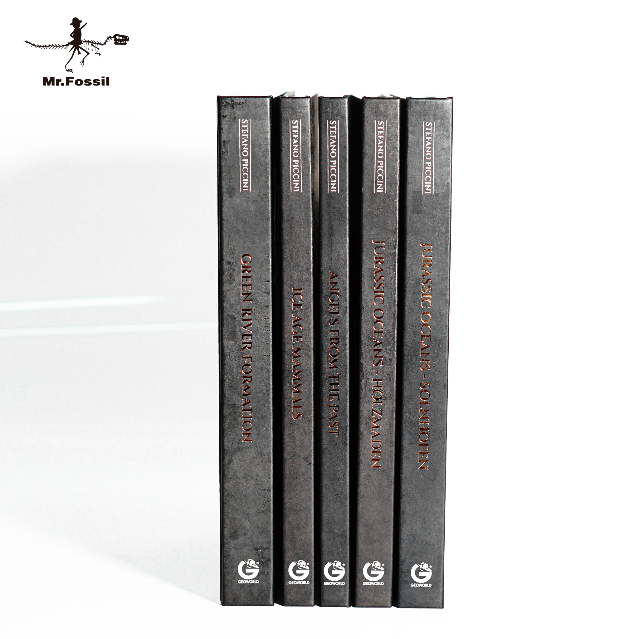 STEFANO PICCINI 訂製收藏版書（全彩、全英文)_a3210031e3c60bc4b868924da2025cc1.jpg