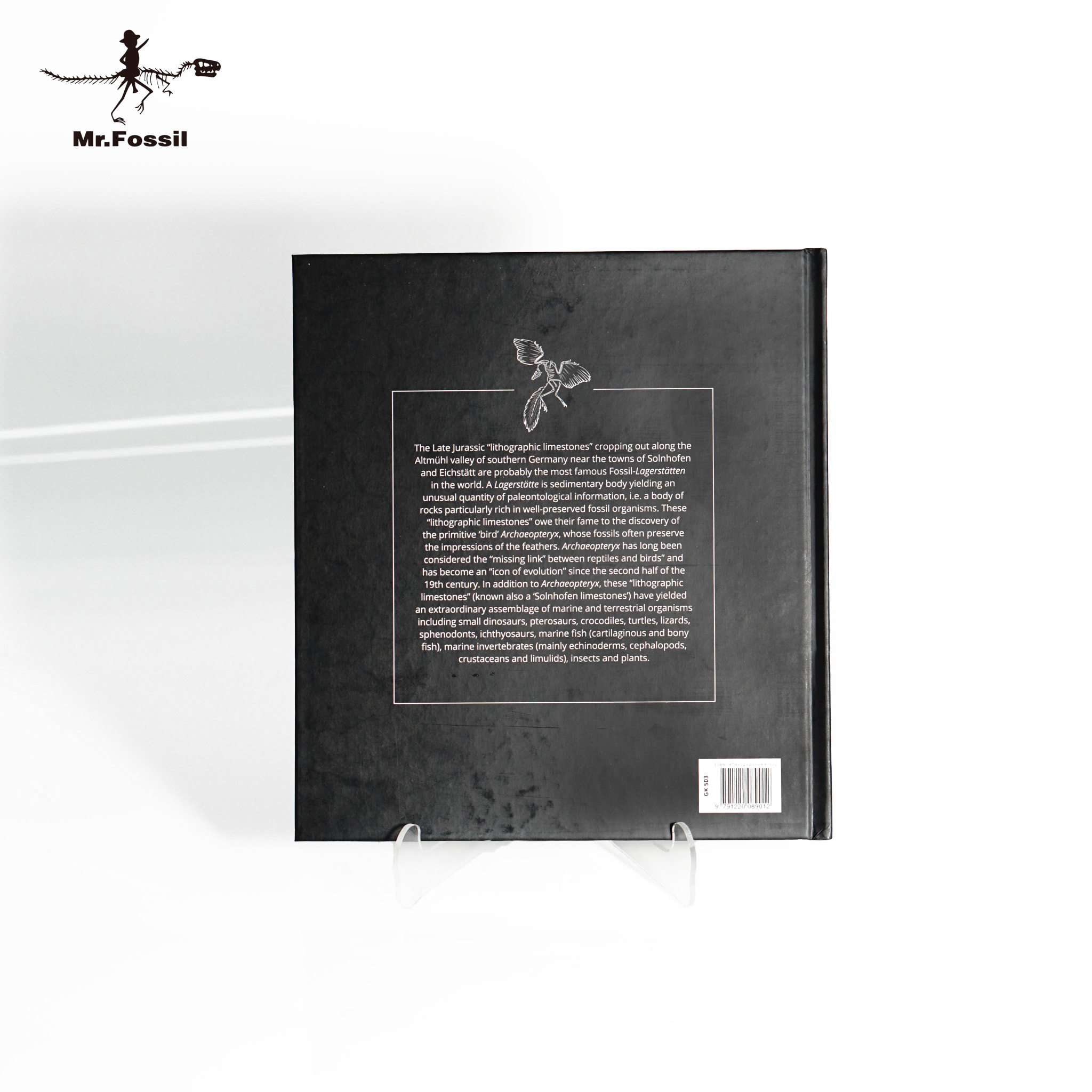 STEFANO PICCINI 訂製收藏版書（全彩、全英文)_ae5f6d61139678fec02a7dc3822a3639.jpg