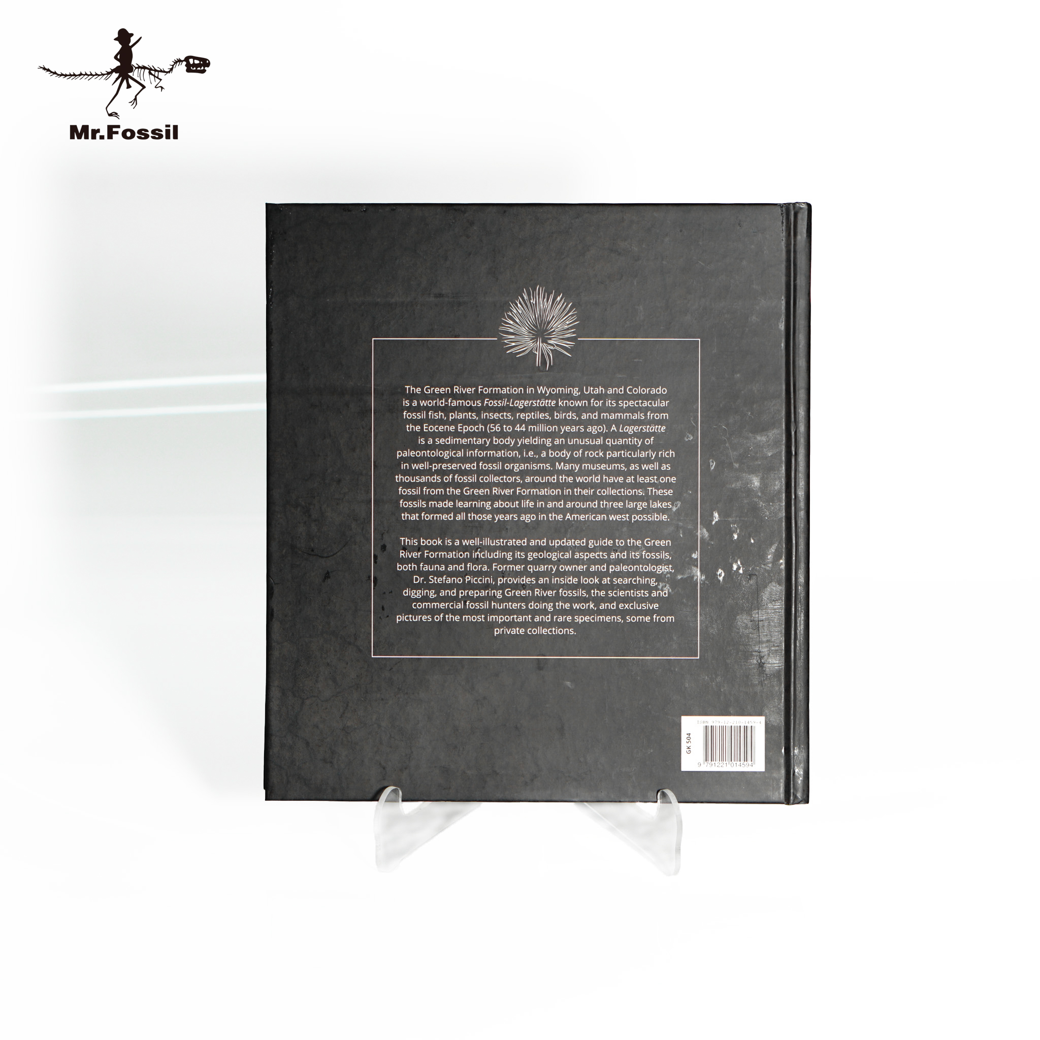STEFANO PICCINI 訂製收藏版書（全彩、全英文)_cbb8bec42bb73a5e35b321888145e5ef.jpg