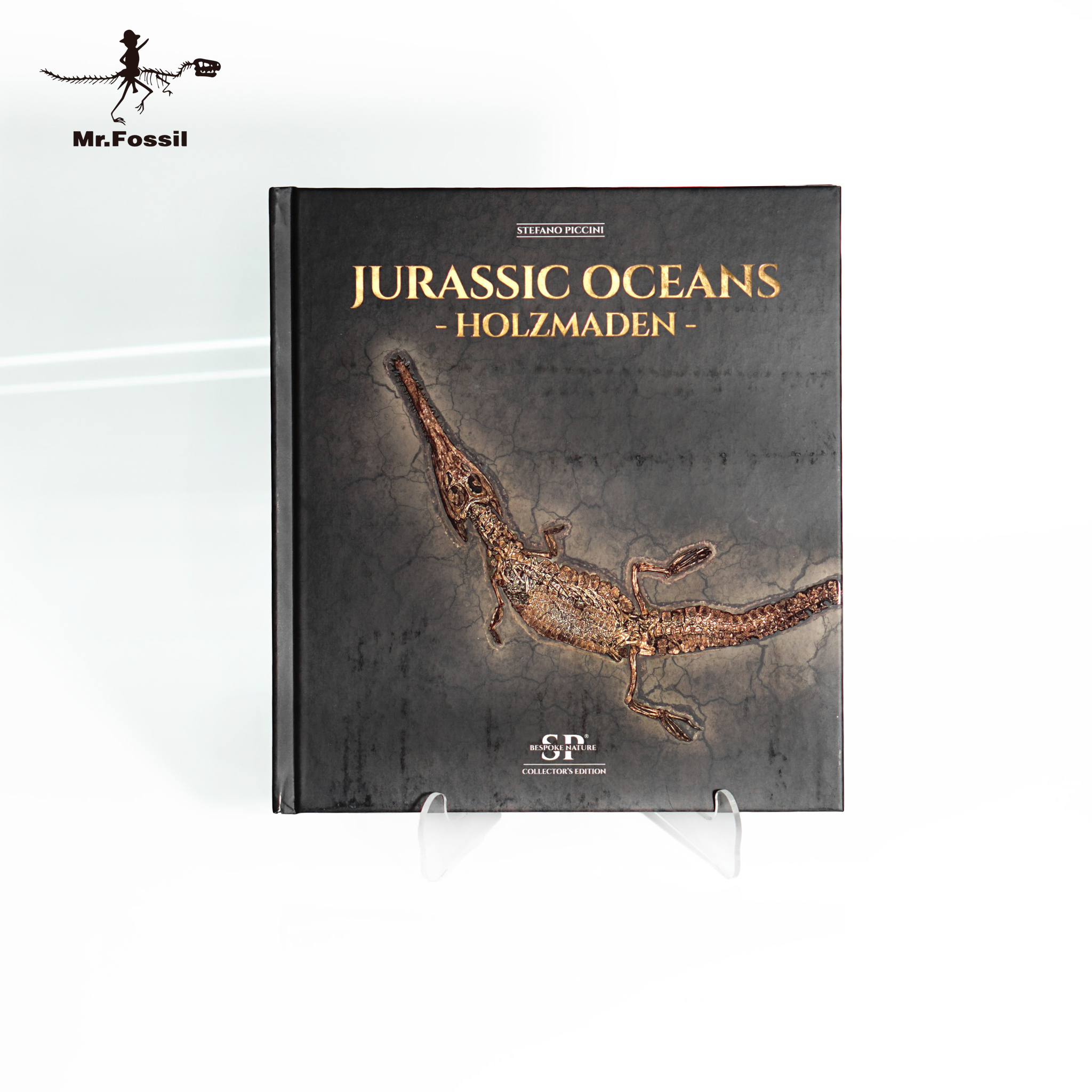 STEFANO PICCINI 訂製收藏版書（全彩、全英文)_e2547556a129c20a2b87fb602b919c68.jpg
