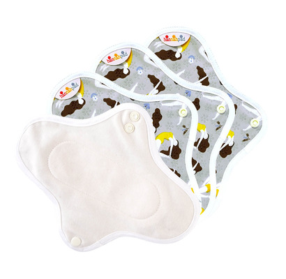 【天天被需要】hannahpad 護墊(Pantyliner)21cm 4片組